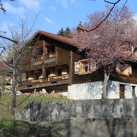 Sous Les Ecotagnes Villa Les Villards-sur-Thônes Exterior photo