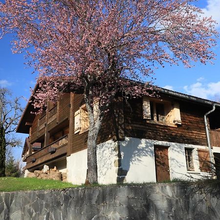 Sous Les Ecotagnes Villa Les Villards-sur-Thônes Exterior photo