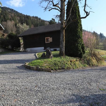 Sous Les Ecotagnes Villa Les Villards-sur-Thônes Exterior photo