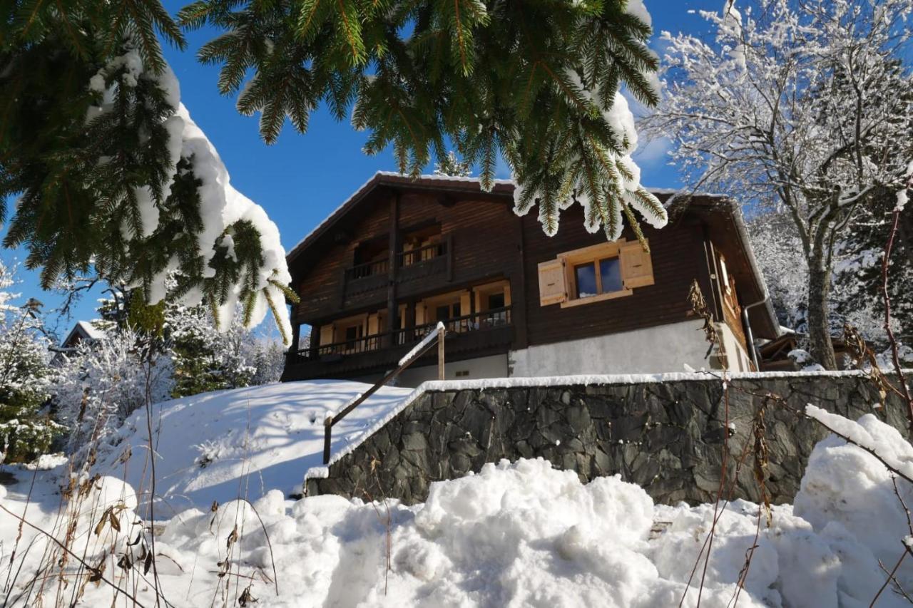 Sous Les Ecotagnes Villa Les Villards-sur-Thônes Exterior photo