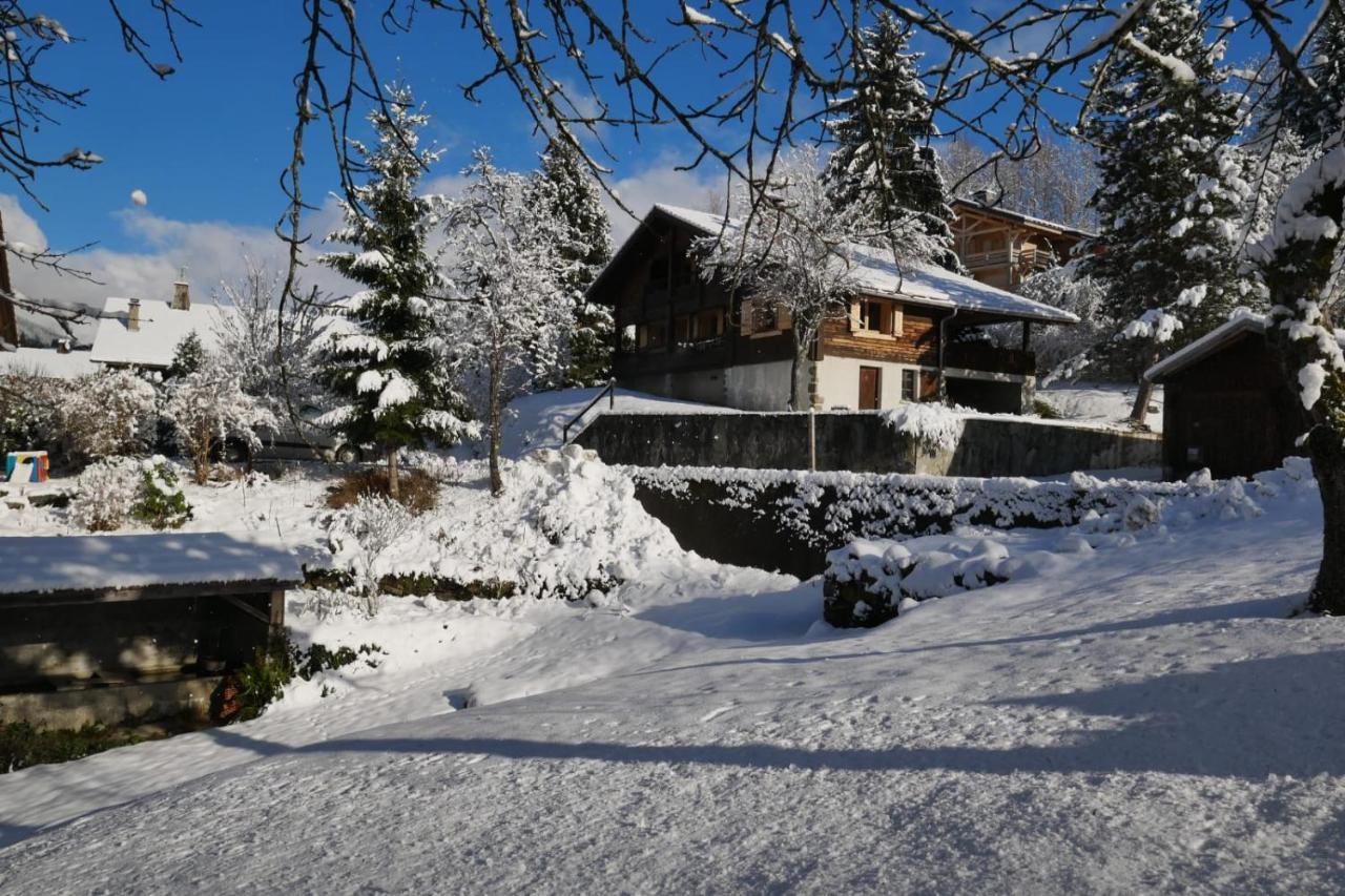 Sous Les Ecotagnes Villa Les Villards-sur-Thônes Exterior photo