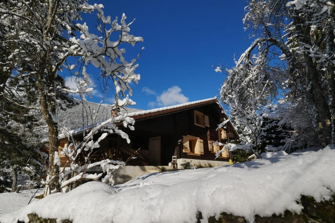 Sous Les Ecotagnes Villa Les Villards-sur-Thônes Exterior photo