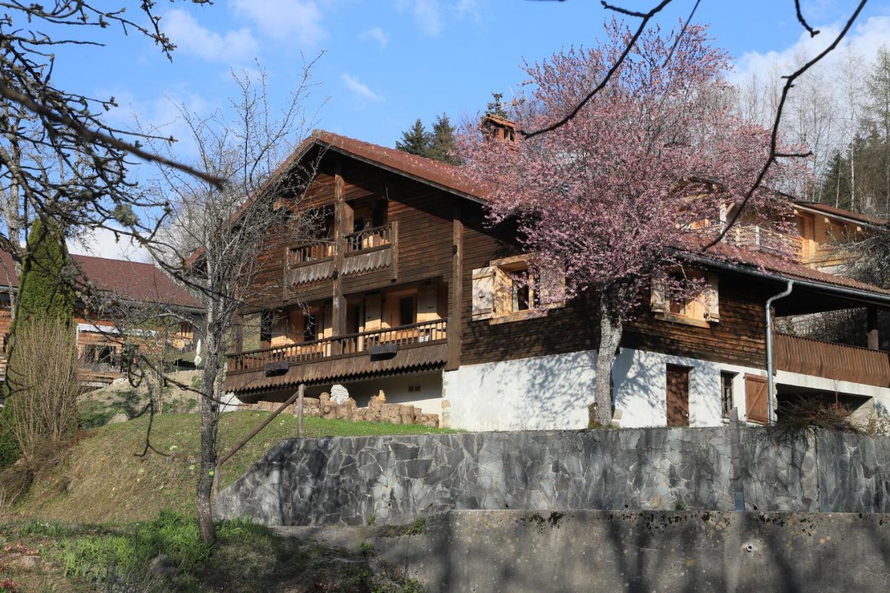 Sous Les Ecotagnes Villa Les Villards-sur-Thônes Exterior photo