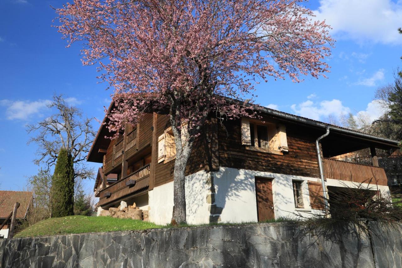 Sous Les Ecotagnes Villa Les Villards-sur-Thônes Exterior photo